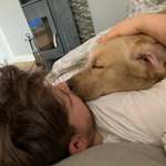 Ersteller:in David Profilbild