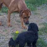 Ersteller:in Urte Profilbild