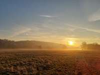 Hundeauslaufgebiet-Elbe-Bild