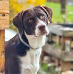 Ersteller:in Josi Profilbild