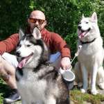 Ersteller:in Daniel Profilbild