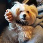 Ersteller:in Jeannette Profilbild