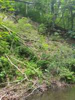 Hundeauslaufgebiet-Rabenauer Grund-Bild