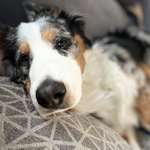 Ersteller:in Leila Profilbild