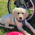 Ersteller:in Andi Profilbild