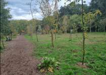 Hundeauslaufgebiet-Doghausen-Bild