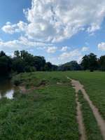 Hundeauslaufgebiet-Theodor-Heuss-Brücke-Bild