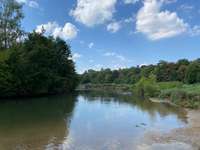 Hundeauslaufgebiet-Theodor-Heuss-Brücke-Bild
