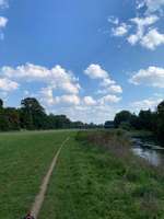 Hundeauslaufgebiet-Theodor-Heuss-Brücke-Bild