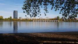 Hundeauslaufgebiet-Promenade Niehler Damm-Bild