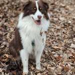 Ersteller:in Florian Profilbild