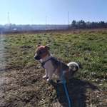 Ersteller:in Dörthe Profilbild