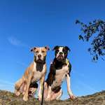 Ersteller:in Sarah Profilbild