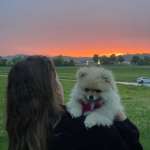 Ersteller:in Ilayda Profilbild