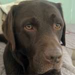 Ersteller:in A Profilbild