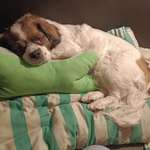 Ersteller:in Bianca Profilbild