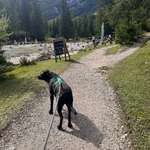 Ersteller:in Anja Profilbild