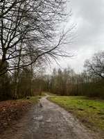 Hundeauslaufgebiet-Hassee/ Russee Berliner Viertel-Bild