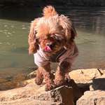 Ersteller:in Lena Profilbild