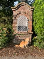 Hundeauslaufgebiet-Bödingen-Bild