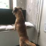 Ersteller:in Sabine Profilbild