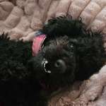 Ersteller:in Sabi & Profilbild