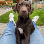 Ersteller:in Kathleen Profilbild