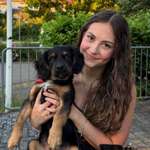 Ersteller:in Alina Profilbild