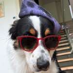 Ersteller:in Alina Profilbild