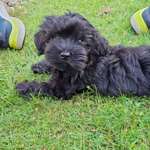 Ersteller:in Deborah Profilbild