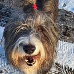 Ersteller:in Jill Profilbild