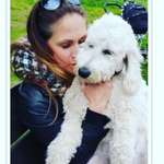 Ersteller:in Loreen Profilbild