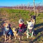 Ersteller:in Nina Profilbild