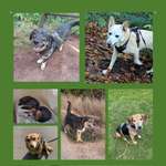 Ersteller:in Nina Profilbild