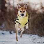 Ersteller:in Sina Profilbild