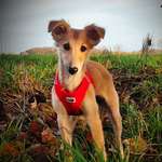 Ersteller:in Mareike Profilbild