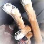 Ersteller:in Mareike Profilbild