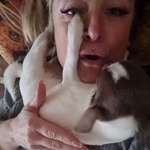 Ersteller:in Michaela Profilbild