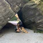 Ersteller:in Anna Profilbild