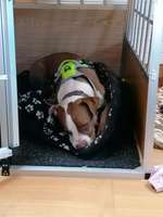 Wir brauchen Hilfe, von euch😊-Beitrag-Bild