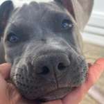 Ersteller:in Sarah Profilbild