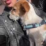 Ersteller:in Katharina Profilbild