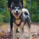 Ersteller:in Kimberly Profilbild