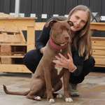 Ersteller:in Cori Profilbild