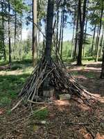 Hundeauslaufgebiet-Jägerhof / Linde-Bild