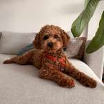 Ersteller:in Sevil Profilbild