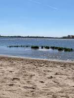 Hundeauslaufgebiet-Strandflächen Falkensteiner Ufer-Bild