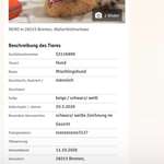 Suchmeldung-Nero-Bild