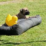 Ersteller:in Maike Profilbild