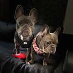 Ersteller:in Adrianna Profilbild